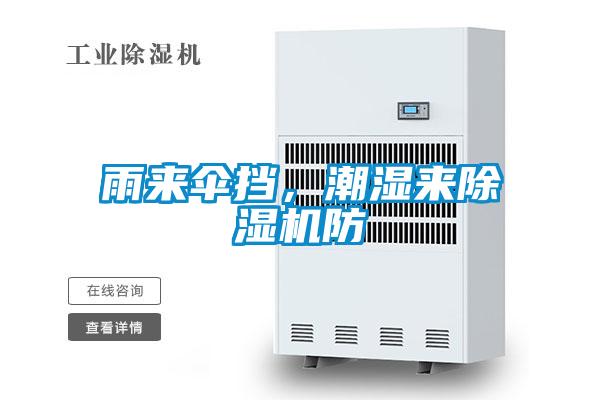 雨來傘擋，潮濕來除濕機防