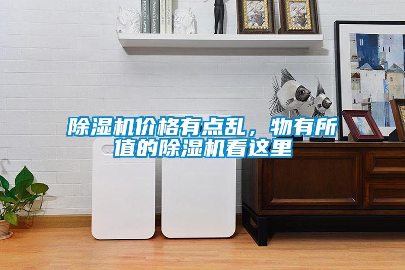 除濕機價格有點亂，物有所值的除濕機看這里