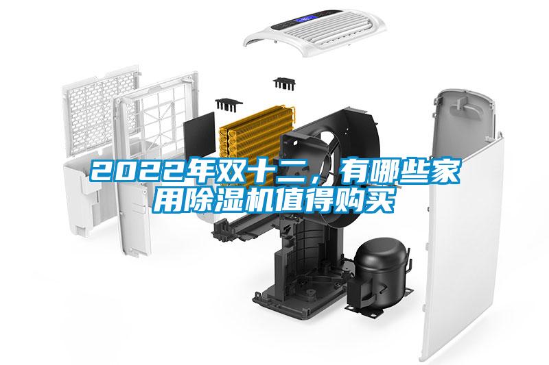 2022年雙十二，有哪些家用除濕機(jī)值得購(gòu)買