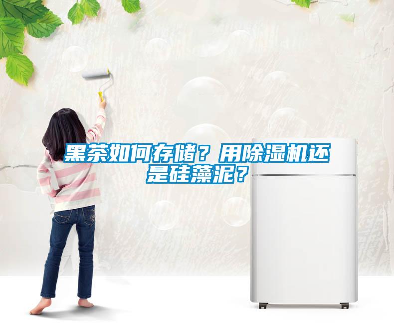 黑茶如何存儲(chǔ)？用除濕機(jī)還是硅藻泥？