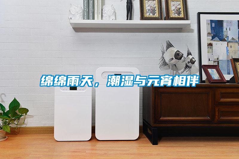 綿綿雨天，潮濕與元宵相伴