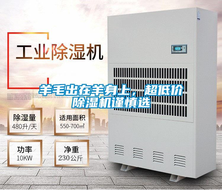 羊毛出在羊身上，超低價除濕機謹慎選