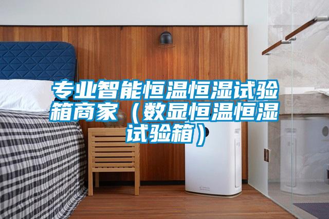 專業(yè)智能恒溫恒濕試驗箱商家（數(shù)顯恒溫恒濕試驗箱）