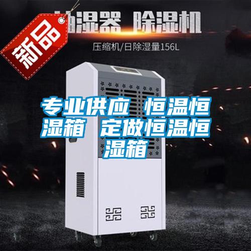 專業(yè)供應 恒溫恒濕箱 定做恒溫恒濕箱