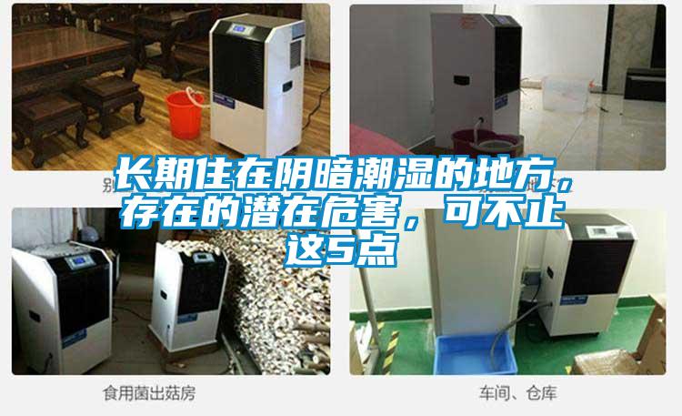 長(zhǎng)期住在陰暗潮濕的地方，存在的潛在危害，可不止這5點(diǎn)