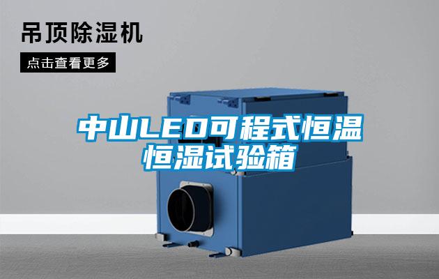 中山LED可程式恒溫恒濕試驗箱