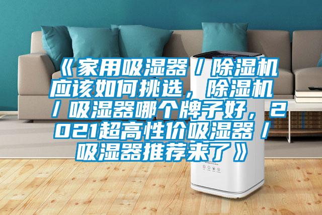 《家用吸濕器／除濕機(jī)應(yīng)該如何挑選，除濕機(jī)／吸濕器哪個(gè)牌子好，2021超高性價(jià)吸濕器／吸濕器推薦來(lái)了》