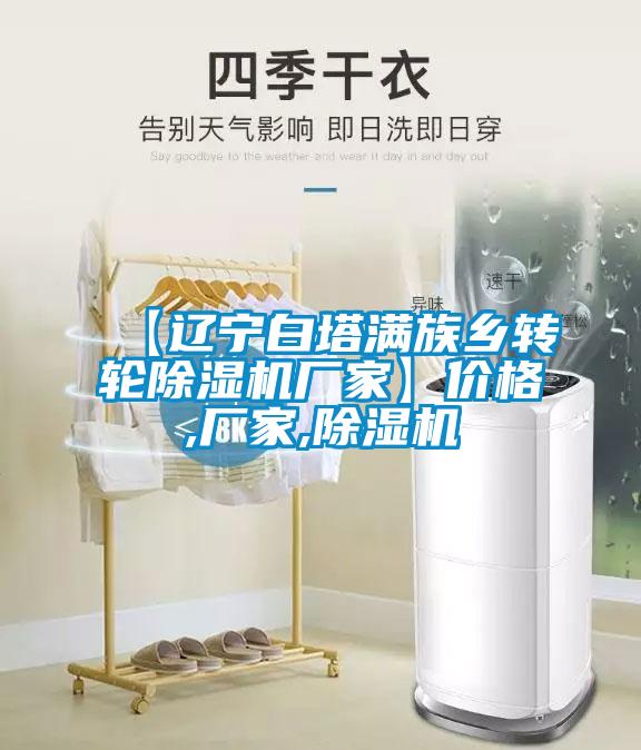 【遼寧白塔滿族鄉(xiāng)轉(zhuǎn)輪除濕機廠家】價格,廠家,除濕機