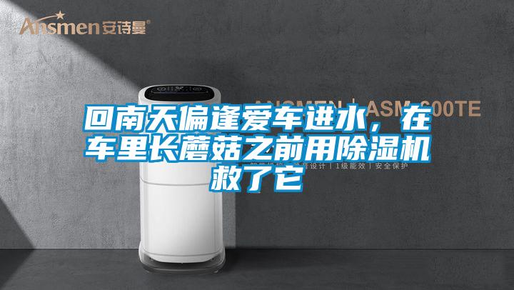 回南天偏逢愛車進(jìn)水，在車?yán)镩L蘑菇之前用除濕機(jī)救了它
