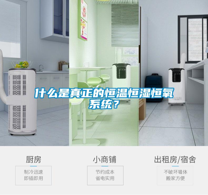 什么是真正的恒溫恒濕恒氧系統(tǒng)？