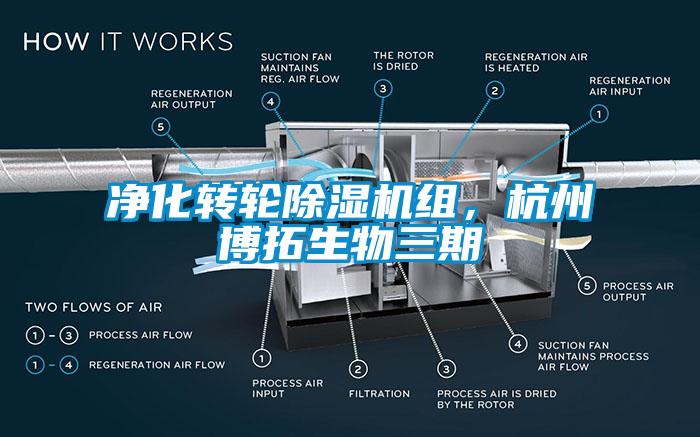凈化轉(zhuǎn)輪除濕機(jī)組，杭州博拓生物三期