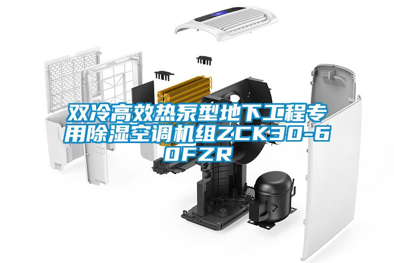 雙冷高效熱泵型地下工程專(zhuān)用除濕空調(diào)機(jī)組ZCK30-60FZR