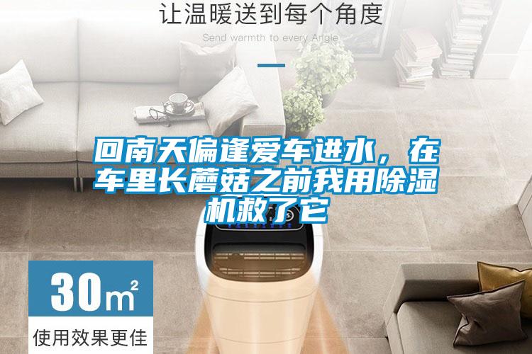 回南天偏逢愛車進水，在車?yán)镩L蘑菇之前我用除濕機救了它