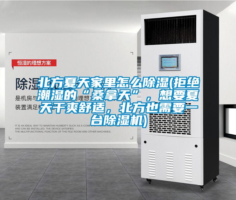 北方夏天家里怎么除濕(拒絕潮濕的“桑拿天”，想要夏天干爽舒適，北方也需要一臺除濕機)
