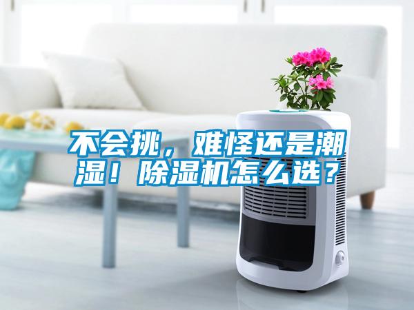 不會挑，難怪還是潮濕！除濕機怎么選？