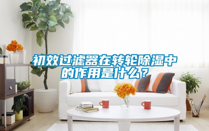 初效過濾器在轉(zhuǎn)輪除濕中的作用是什么？