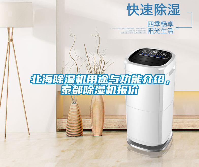 北海除濕機用途與功能介紹，泰都除濕機報價