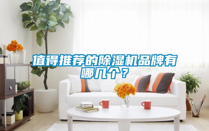 值得推薦的除濕機品牌有哪幾個？