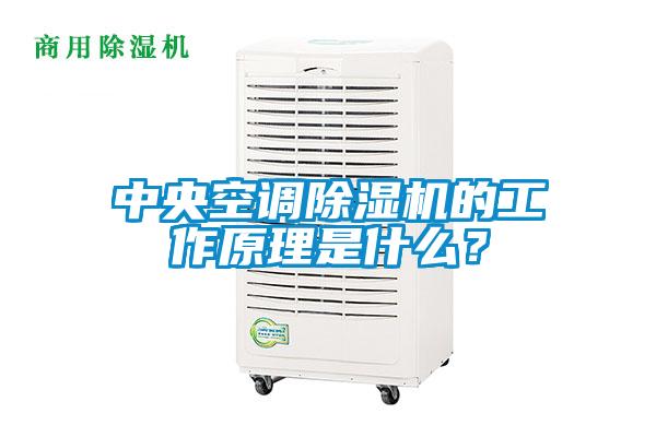 中央空調除濕機的工作原理是什么？