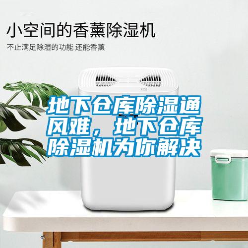 地下倉(cāng)庫(kù)除濕通風(fēng)難，地下倉(cāng)庫(kù)除濕機(jī)為你解決