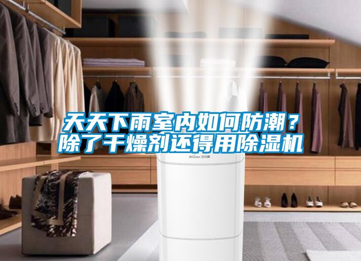 天天下雨室內(nèi)如何防潮？除了干燥劑還得用除濕機(jī)