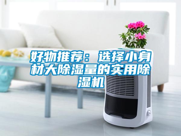 好物推薦：選擇小身材大除濕量的實用除濕機(jī)