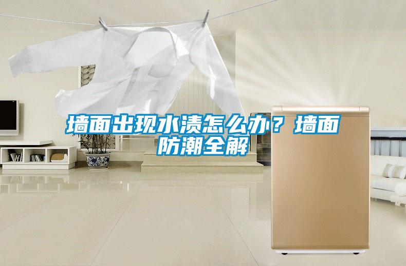 墻面出現(xiàn)水漬怎么辦？墻面防潮全解