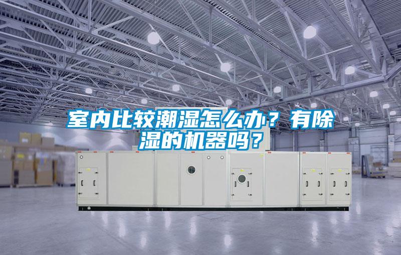 室內(nèi)比較潮濕怎么辦？有除濕的機器嗎？