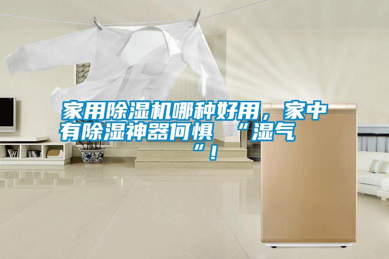 家用除濕機(jī)哪種好用，家中有除濕神器何懼 “濕氣 “！