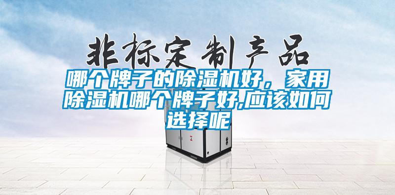 哪個牌子的除濕機好，家用除濕機哪個牌子好,應(yīng)該如何選擇呢