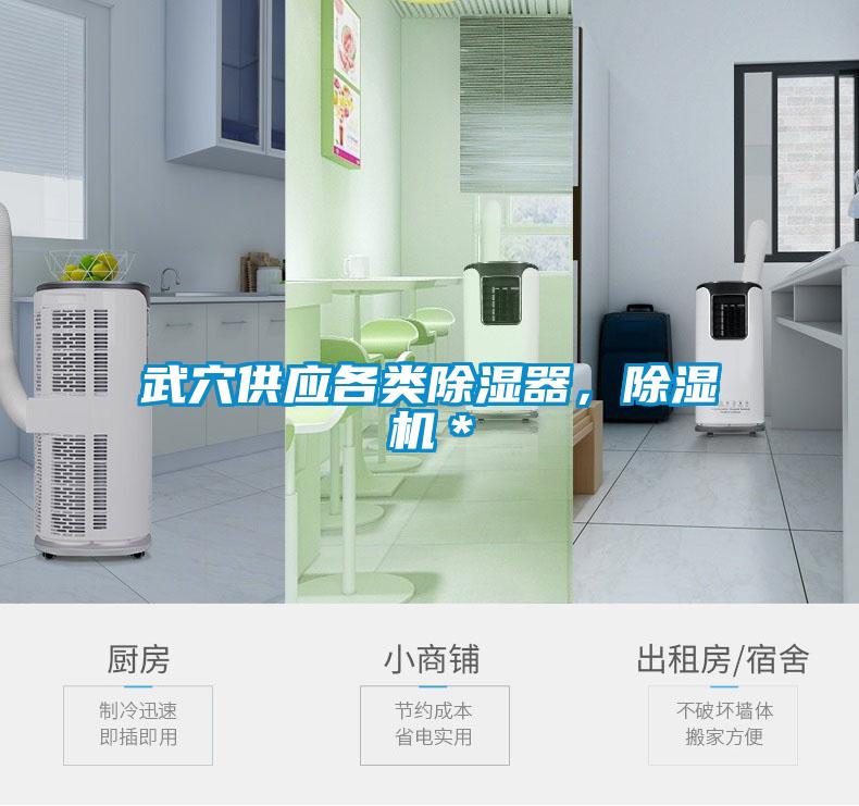武穴供應(yīng)各類除濕器，除濕機＊