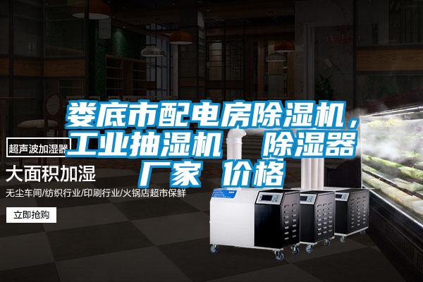 婁底市配電房除濕機，工業抽濕機  除濕器廠家 價格