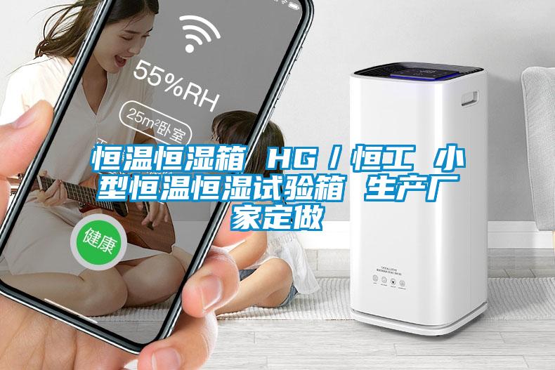 恒溫恒濕箱 HG／恒工 小型恒溫恒濕試驗箱 生產(chǎn)廠家定做