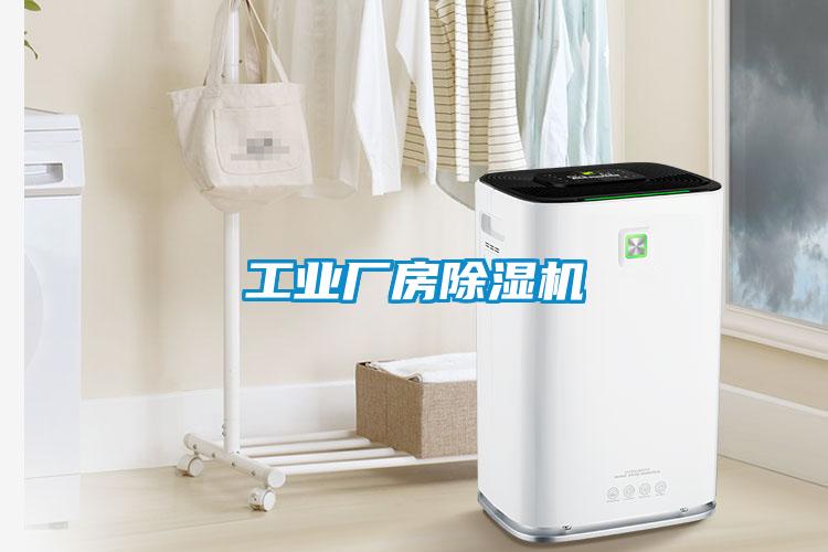 工業(yè)廠房除濕機(jī)