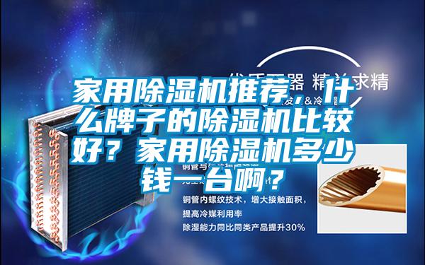家用除濕機(jī)推薦，什么牌子的除濕機(jī)比較好？家用除濕機(jī)多少錢(qián)一臺(tái)啊？