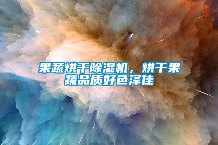 果蔬烘干除濕機，烘干果蔬品質好色澤佳