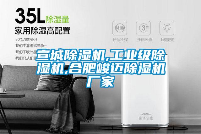 宣城除濕機,工業(yè)級除濕機,合肥峻邁除濕機廠家