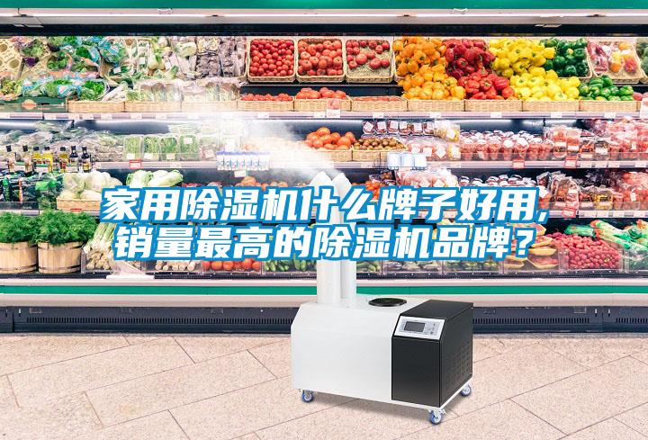 家用除濕機(jī)什么牌子好用,銷量最高的除濕機(jī)品牌？