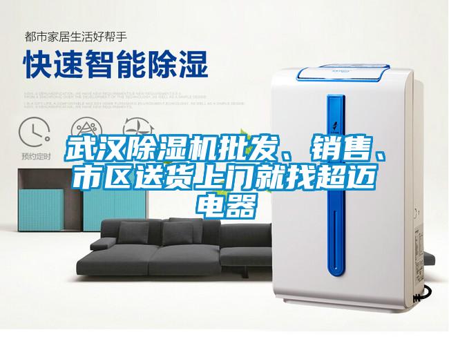 武漢除濕機批發(fā)、銷售、市區(qū)送貨上門就找超邁電器