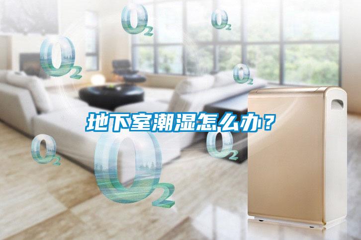 地下室潮濕怎么辦？