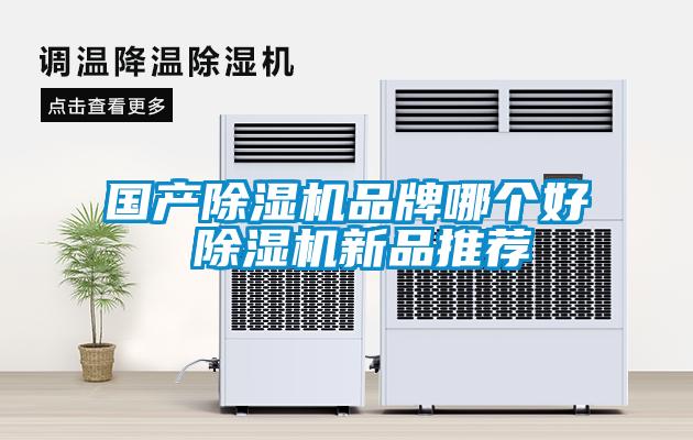 國(guó)產(chǎn)除濕機(jī)品牌哪個(gè)好 除濕機(jī)新品推薦