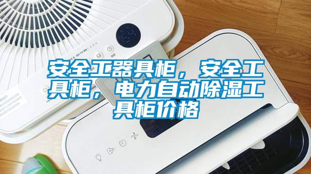 安全工器具柜，安全工具柜，電力自動除濕工具柜價格