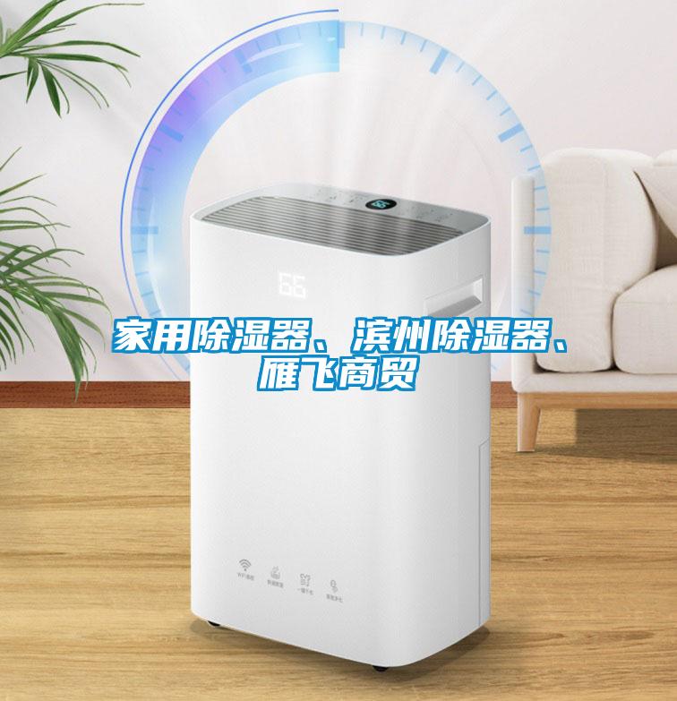 家用除濕器、濱州除濕器、雁飛商貿