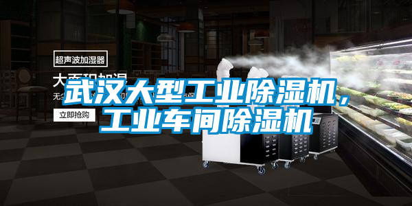 武漢大型工業(yè)除濕機，工業(yè)車間除濕機