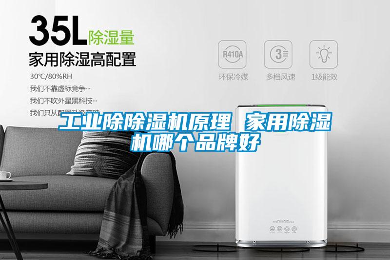 工業(yè)除除濕機(jī)原理 家用除濕機(jī)哪個(gè)品牌好