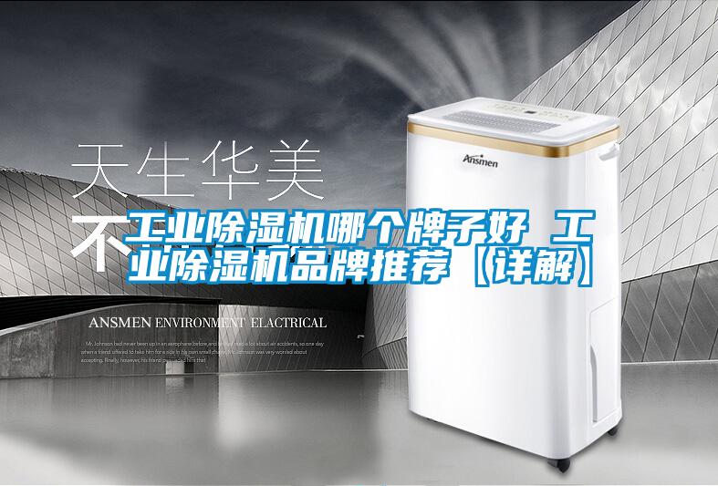 工業除濕機哪個牌子好 工業除濕機品牌推薦【詳解】