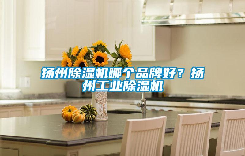 揚州除濕機哪個品牌好？揚州工業除濕機