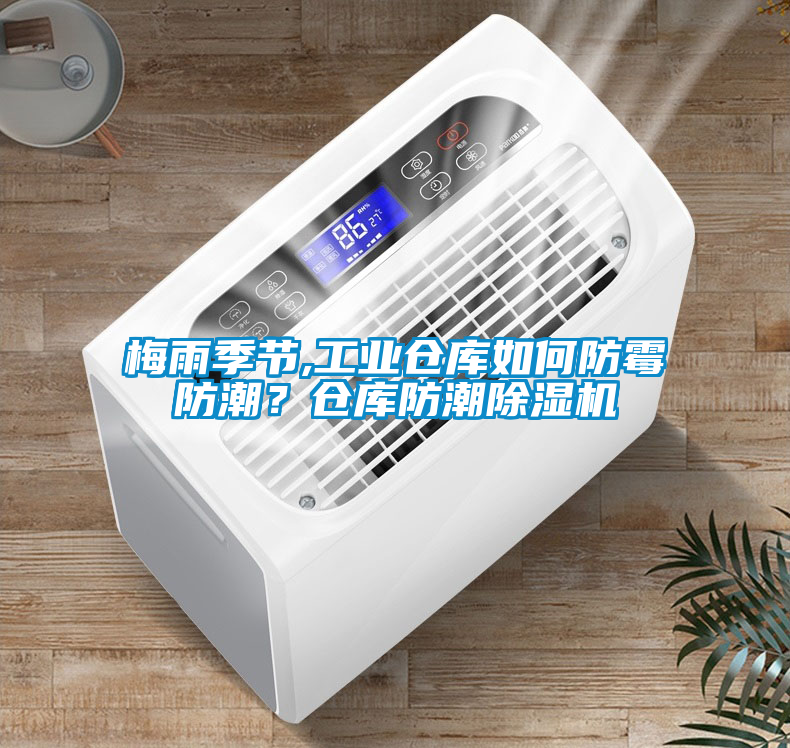 梅雨季節,工業倉庫如何防霉防潮？倉庫防潮除濕機