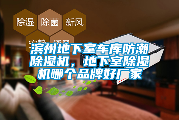 濱州地下室車庫防潮除濕機，地下室除濕機哪個品牌好廠家