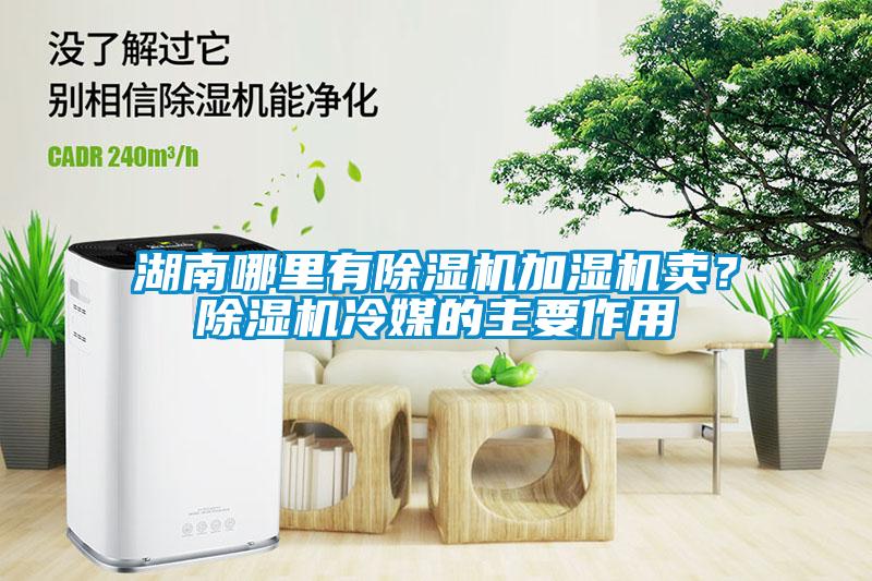 湖南哪里有除濕機加濕機賣？除濕機冷媒的主要作用